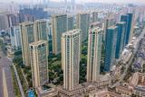 合肥绿城翡翠湖玫瑰园住宅小区.jpg